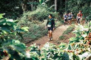 BIB: 
                            <button type="button" onclick="openModal(25852661)" class="btn btn-primary btn-sm float-right btn-popup" data-toggle="modal" data-target=".modal-high-quality">
                        <i class="fas fa-shopping-cart"></i> Add to Cart
                    </button>
                                            <button type="button" onclick="isThisMe(25852661, true)" class="btn btn-success btn-sm float-right btn-popup btn-isme hidden" data-toggle="tooltip" data-placement="bottom" title="นี่คือรูปของคุณใช่ไหม คลิกที่นี่เพื่อเอาเข้าอัลบั้ม">
                        <i class="fas fa-plus"></i> Add to album
                    </button>
                    <button type="button" onclick="isThisMe(25852661, false)" class="btn btn-warning btn-sm float-right btn-popup btn-isnotme hidden">
                        <i class="fas fa-ban"></i> Remove from album
                    </button>